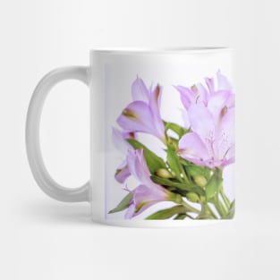 Fresh purple Alstroemeria flowers isolated on white background Mug